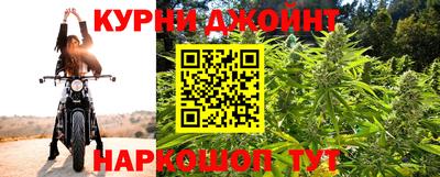 гашик Дубна