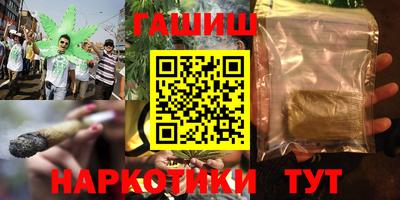 гашик Дубна