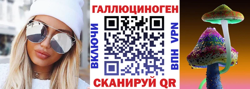 Псилоцибиновые грибы Psilocybine cubensis  купить наркотик  кракен ссылки  Карачаевск 