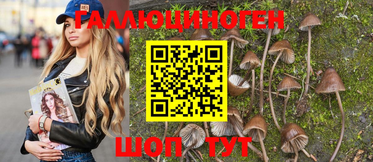 Псилоцибиновые грибы Cubensis  Псилоцибиновые грибы Cubensis  Карачаевск  Вход с VPN 